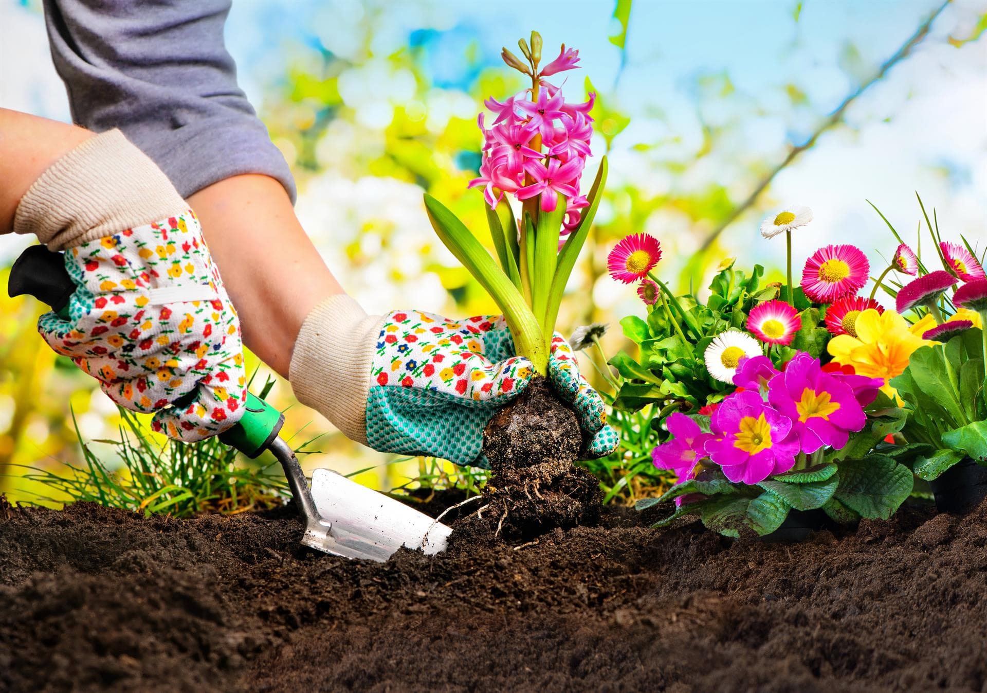 Jardinería O Paraíso en Rianxo